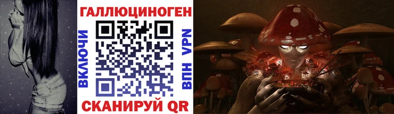 дарк нет формула наркотики Советская Гавань Псилоцибиновые грибы мицелий